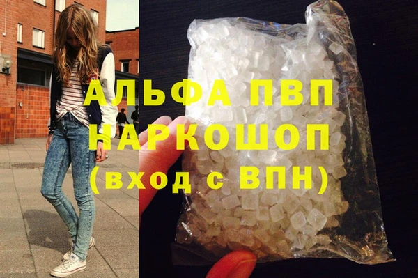 гидра Абаза