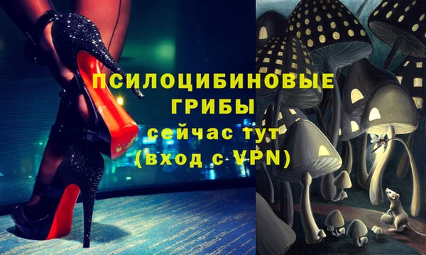 гидра Абаза
