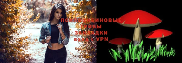 гидра Абаза