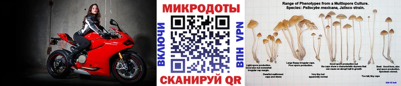 как найти наркотики  Благовещенск  Псилоцибиновые грибы Cubensis 